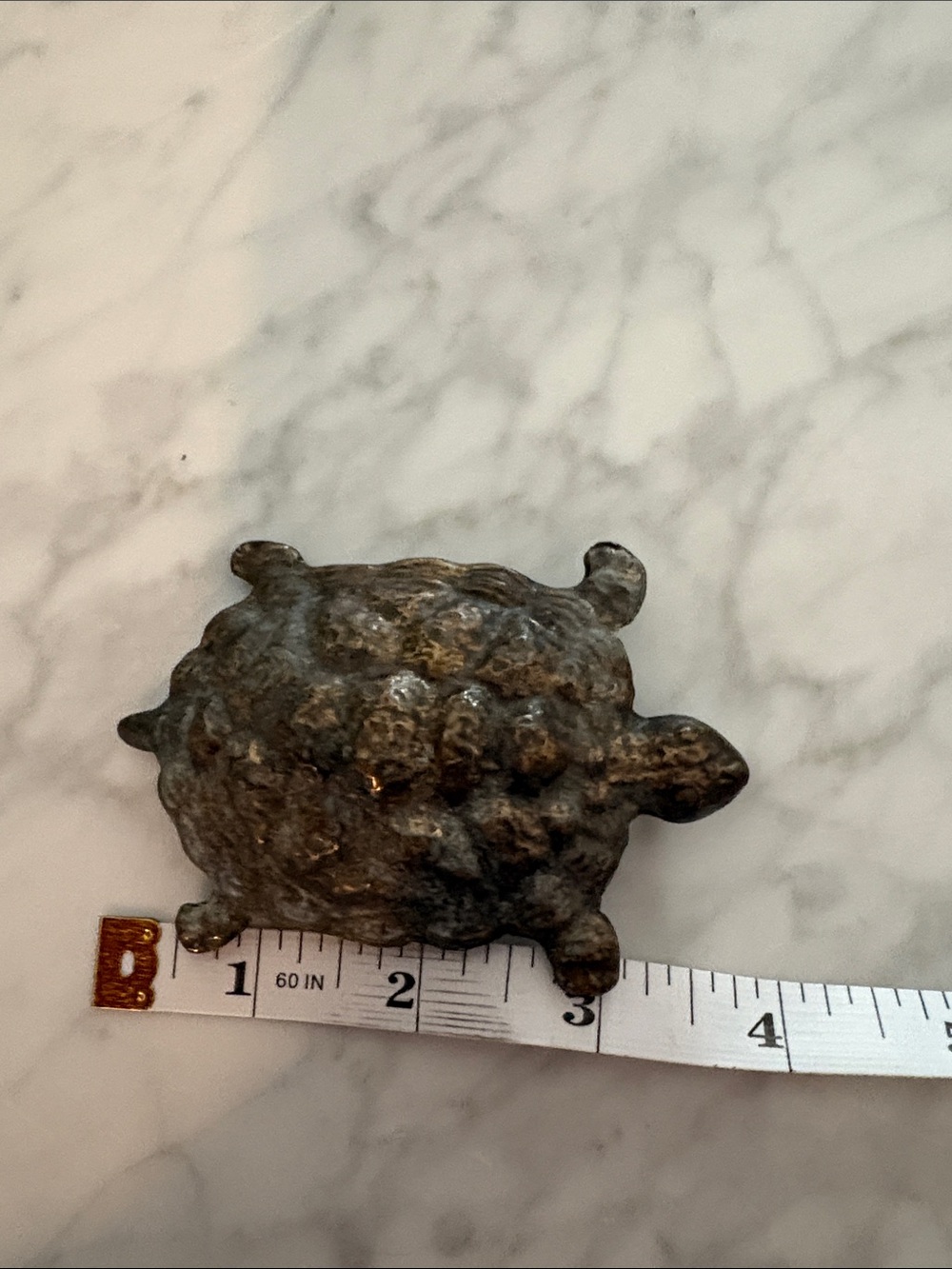 Small Decorative Turtle Chew Toy for Small Pets - Brown/Gray